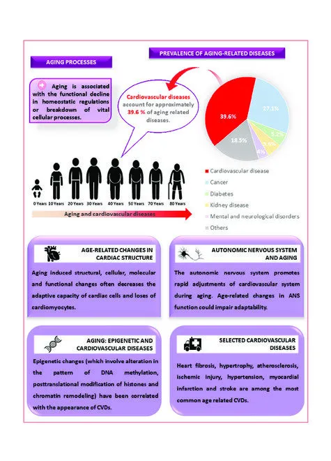 Images of the individuals featured in the case studies