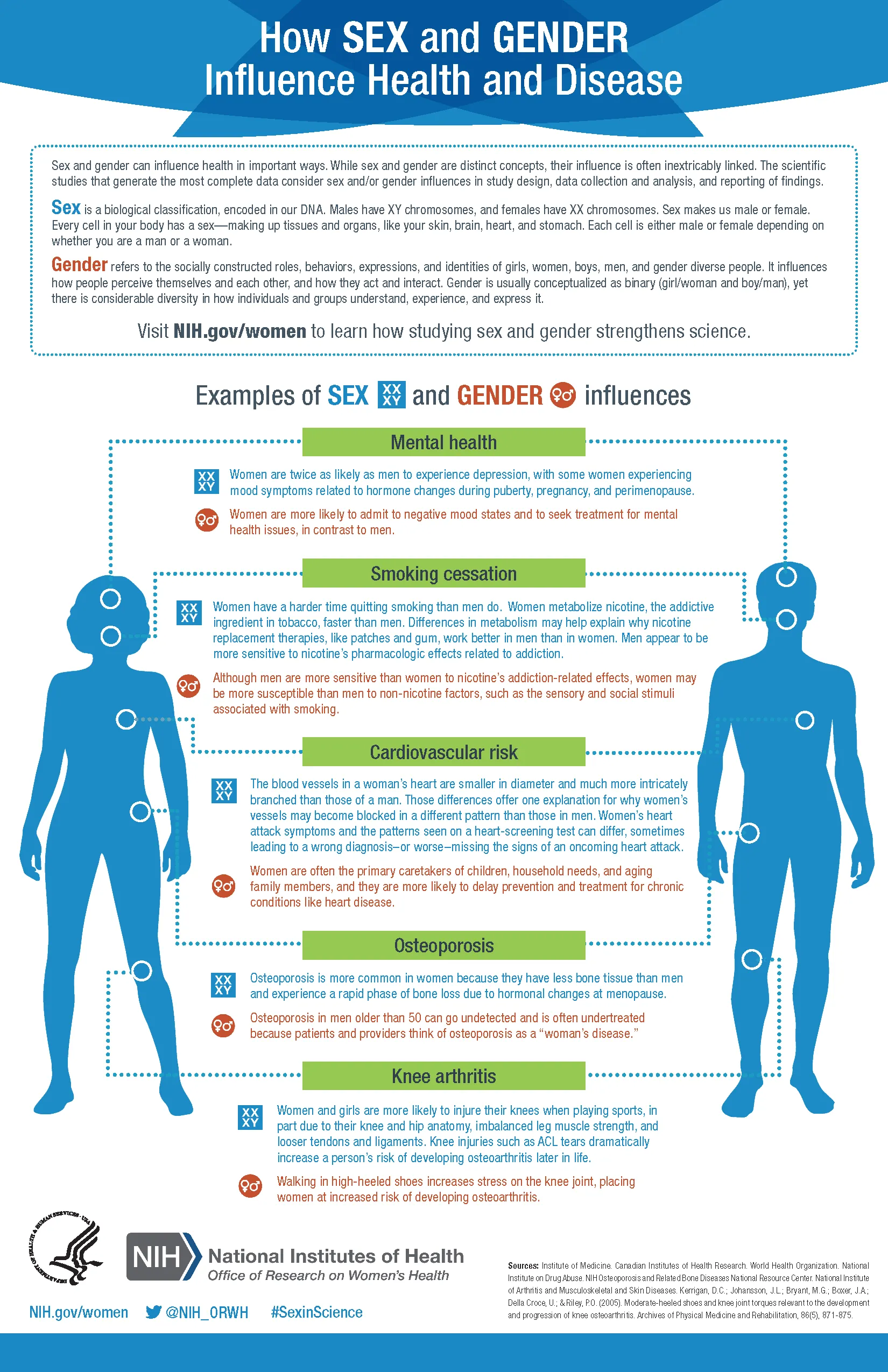 Infographic showing key research findings on gender roles and health