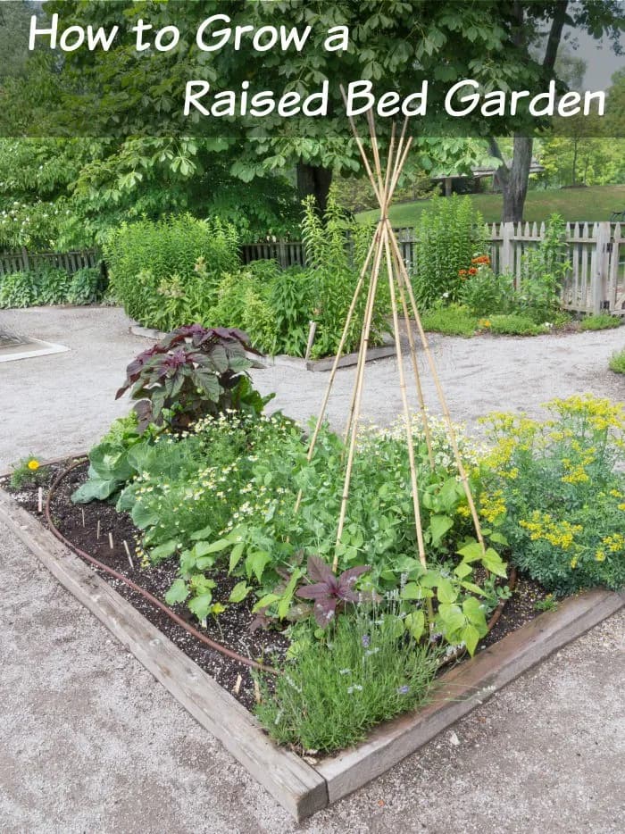 frugal garden